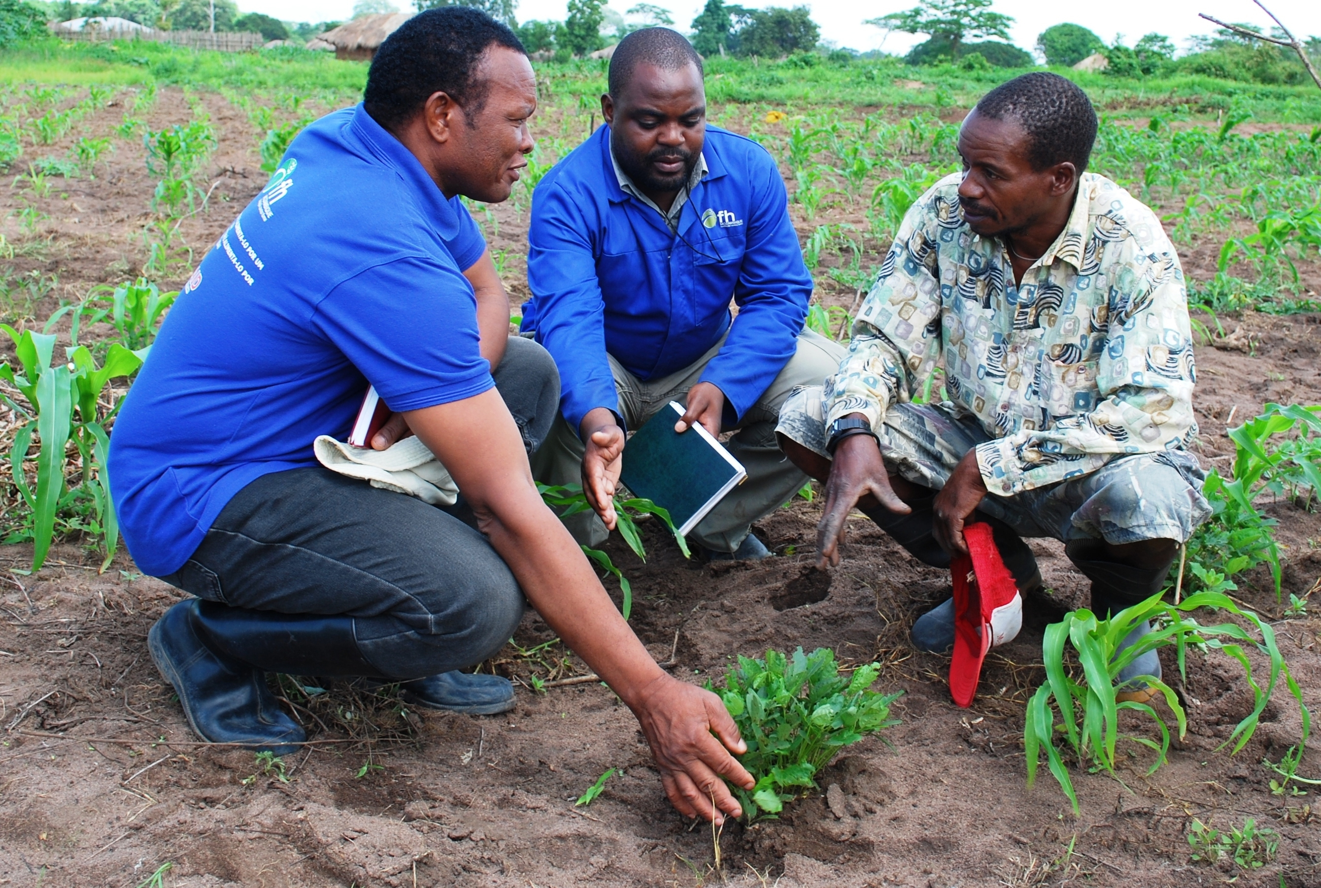 Bài 4: Kinh nghiệm quốc tế về bảo hiểm nông nghiệp (tiếp theo và hết)

