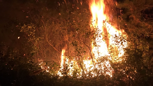 Hà Nội: Đang xảy ra cháy lớn khu rừng trồng ở huyện Sóc Sơn