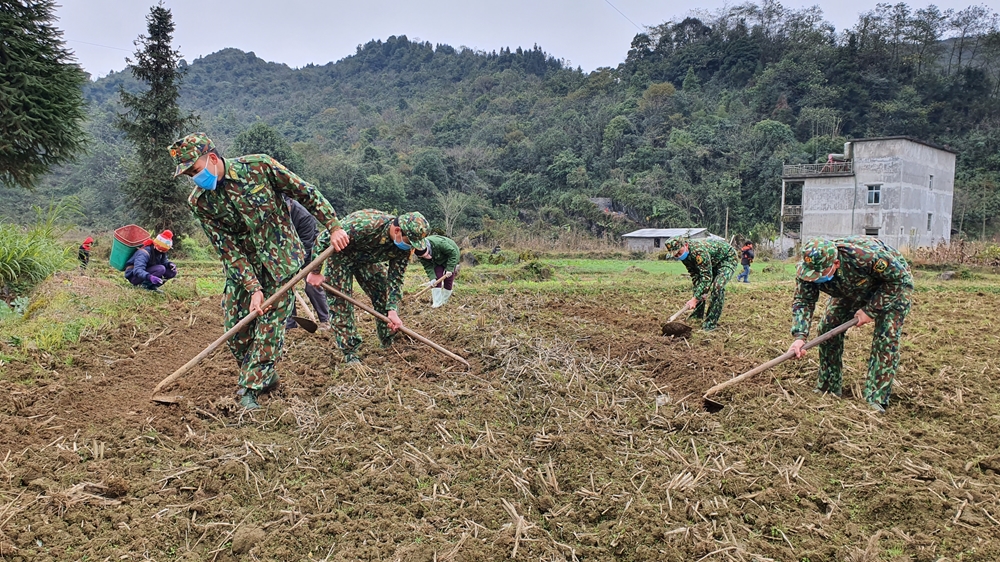 Cán bộ chiến sĩ Đồn Biên phòng Xín Cái giúp người dân lao động sản xuất tại thôn Phìn Lò, xã Xín Cái, Mèo Vạc, Hà Giang.
