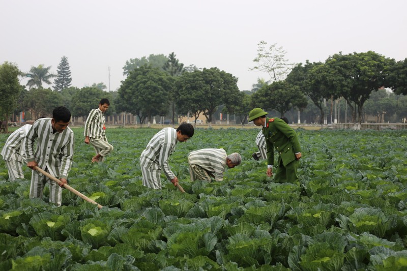 Quyền và nghĩa vụ của người được đề nghị đặc xá