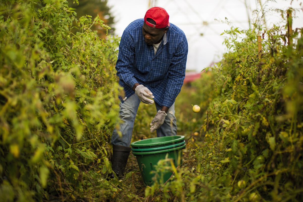 Tiết lộ về chính sách thương mại mới của Mỹ