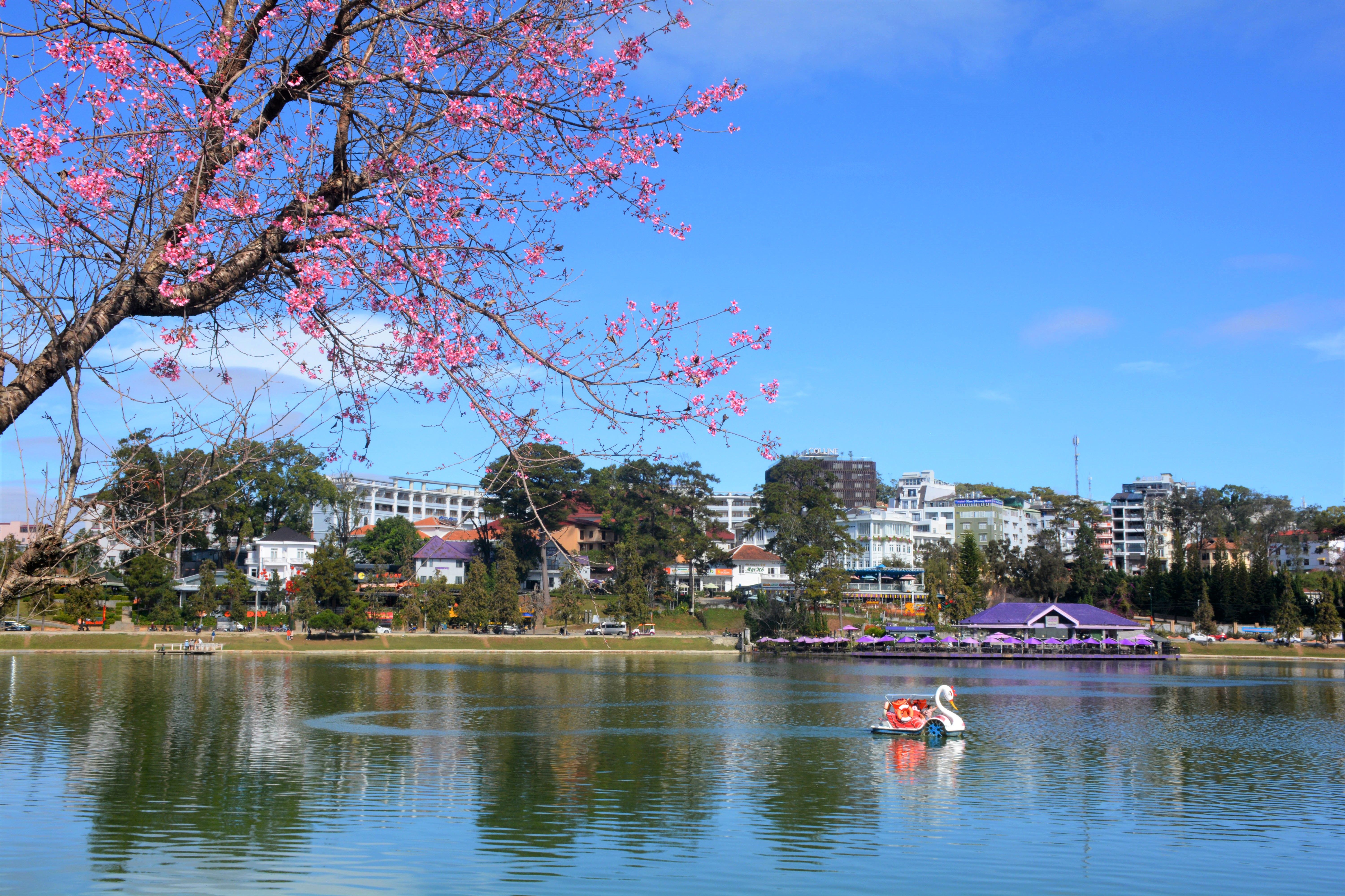 Sắc hoa bên hồ Xuân Hương.