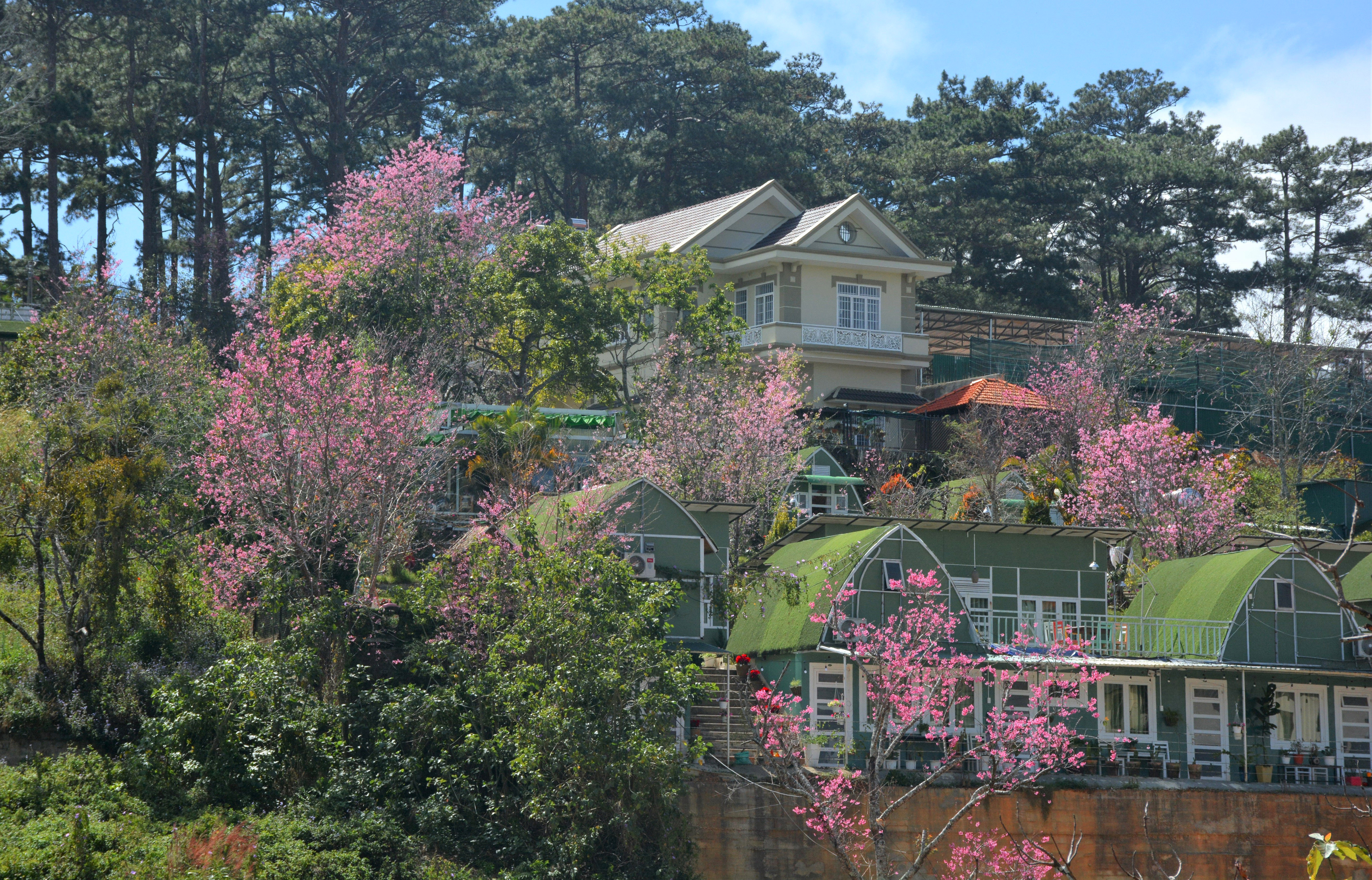 Khu vườn mùa xuân.