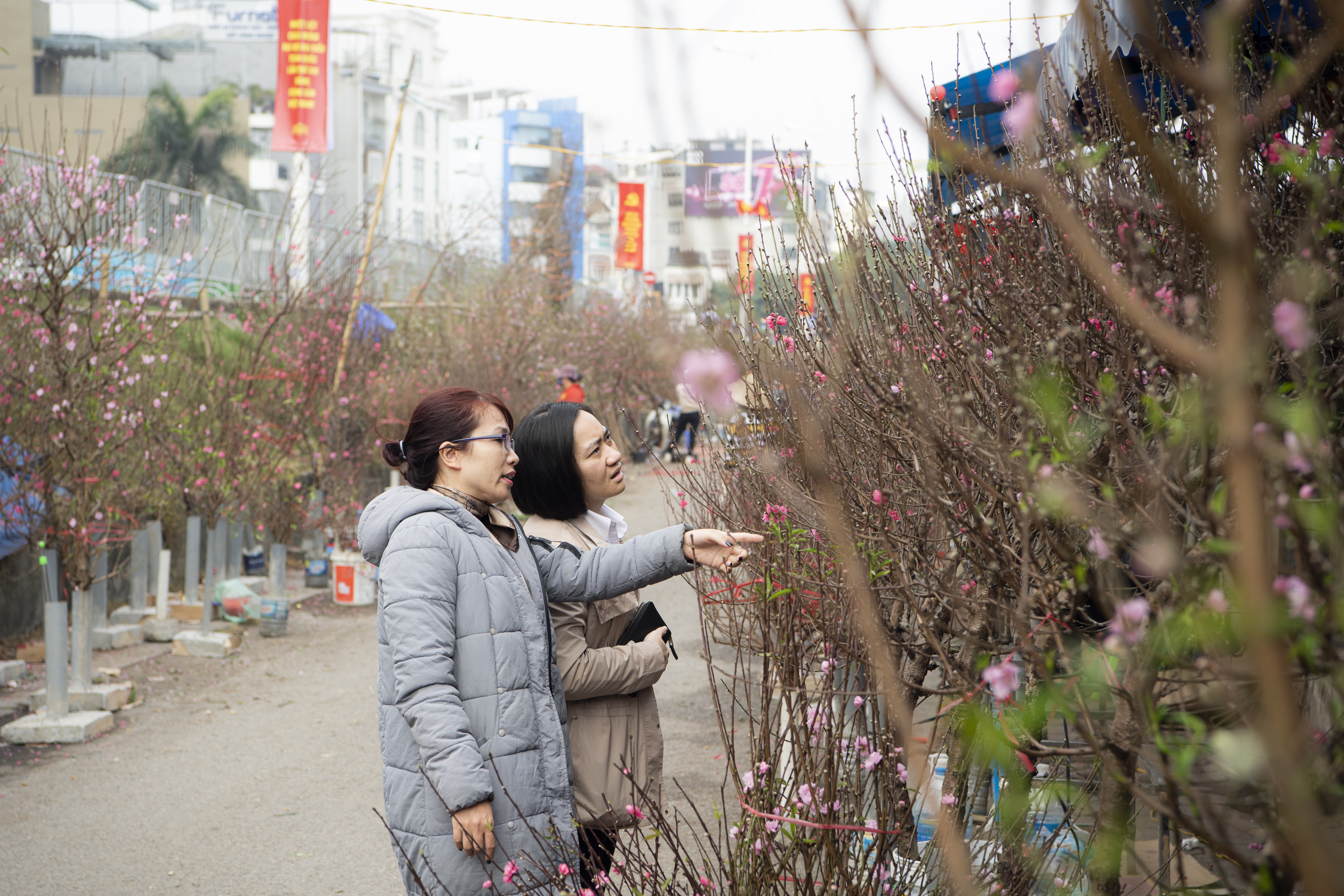 Rực rỡ sắc Xuân ở chợ hoa Quảng Bá