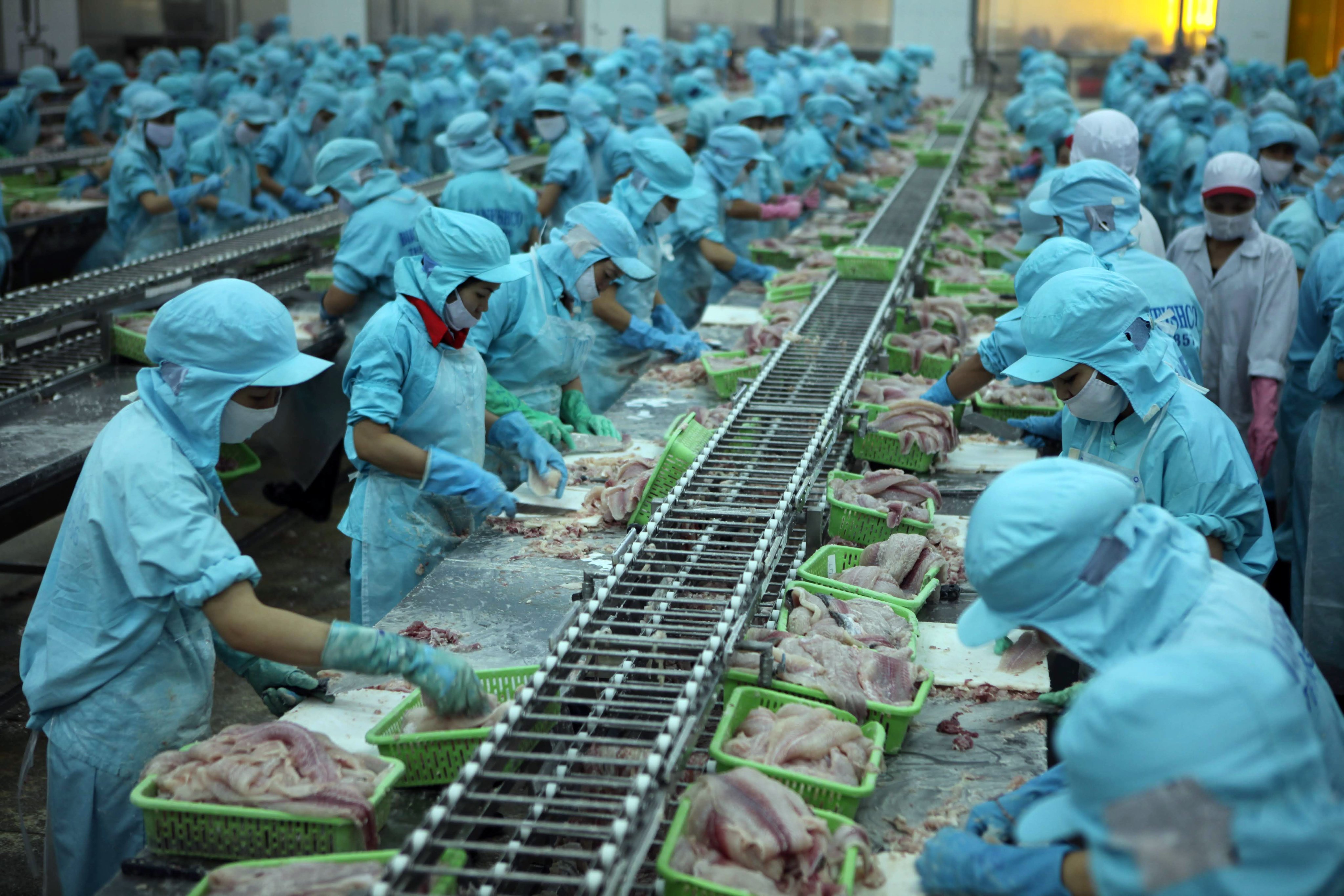 Việt Nam với dấu ấn đột phá trong hoàn cảnh khó khăn