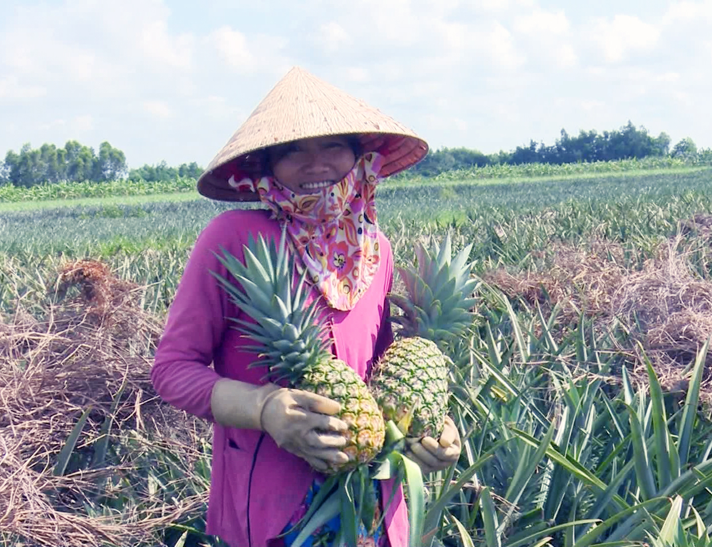 Hiệu quả từ Quỹ Quốc gia về việc làm