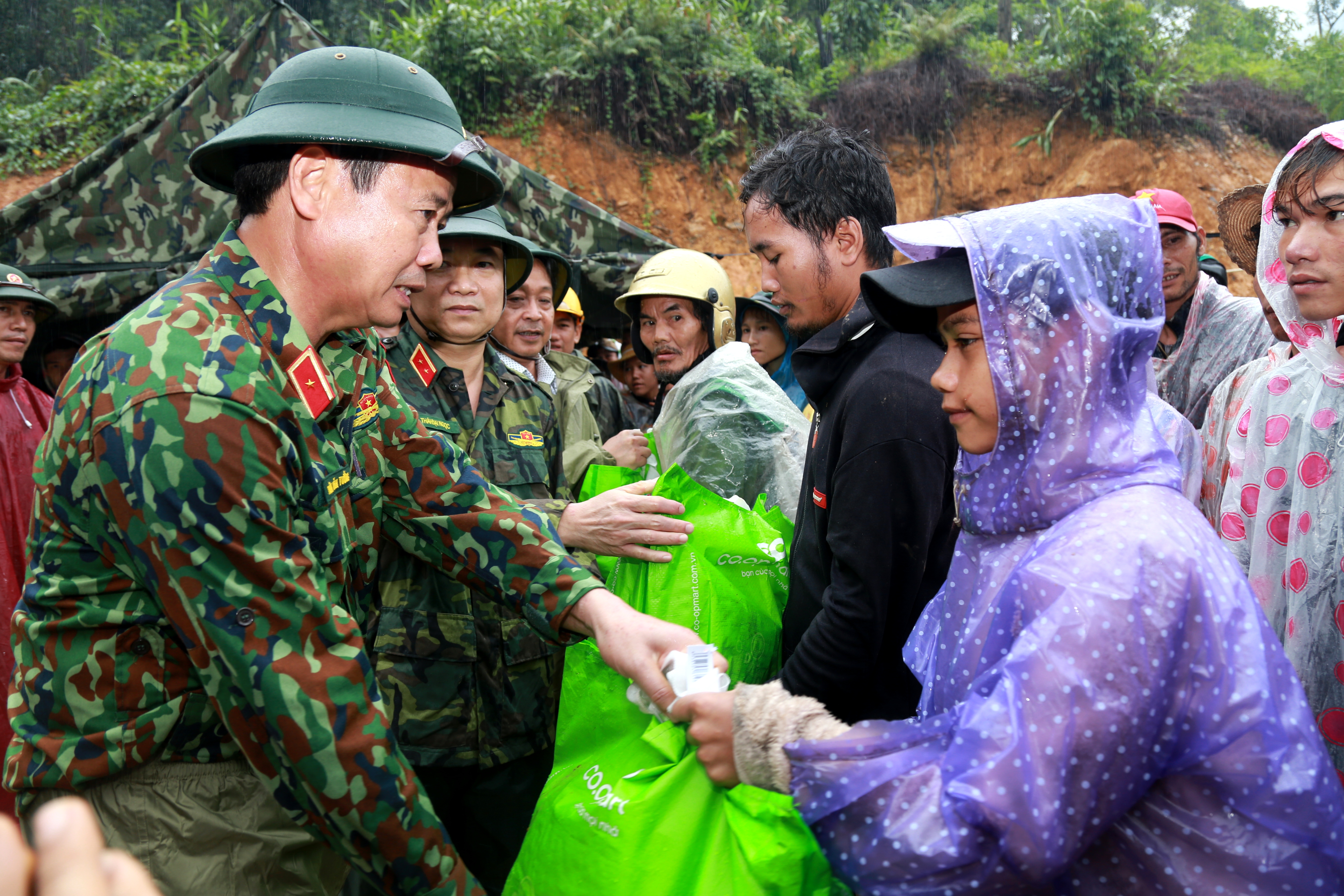 Xuân sớm ở Nam Trà My