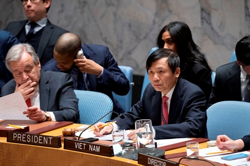 Việt Nam phát huy vai trò dẫn dắt, đề xuất ý tưởng tại Liên hợp quốc


