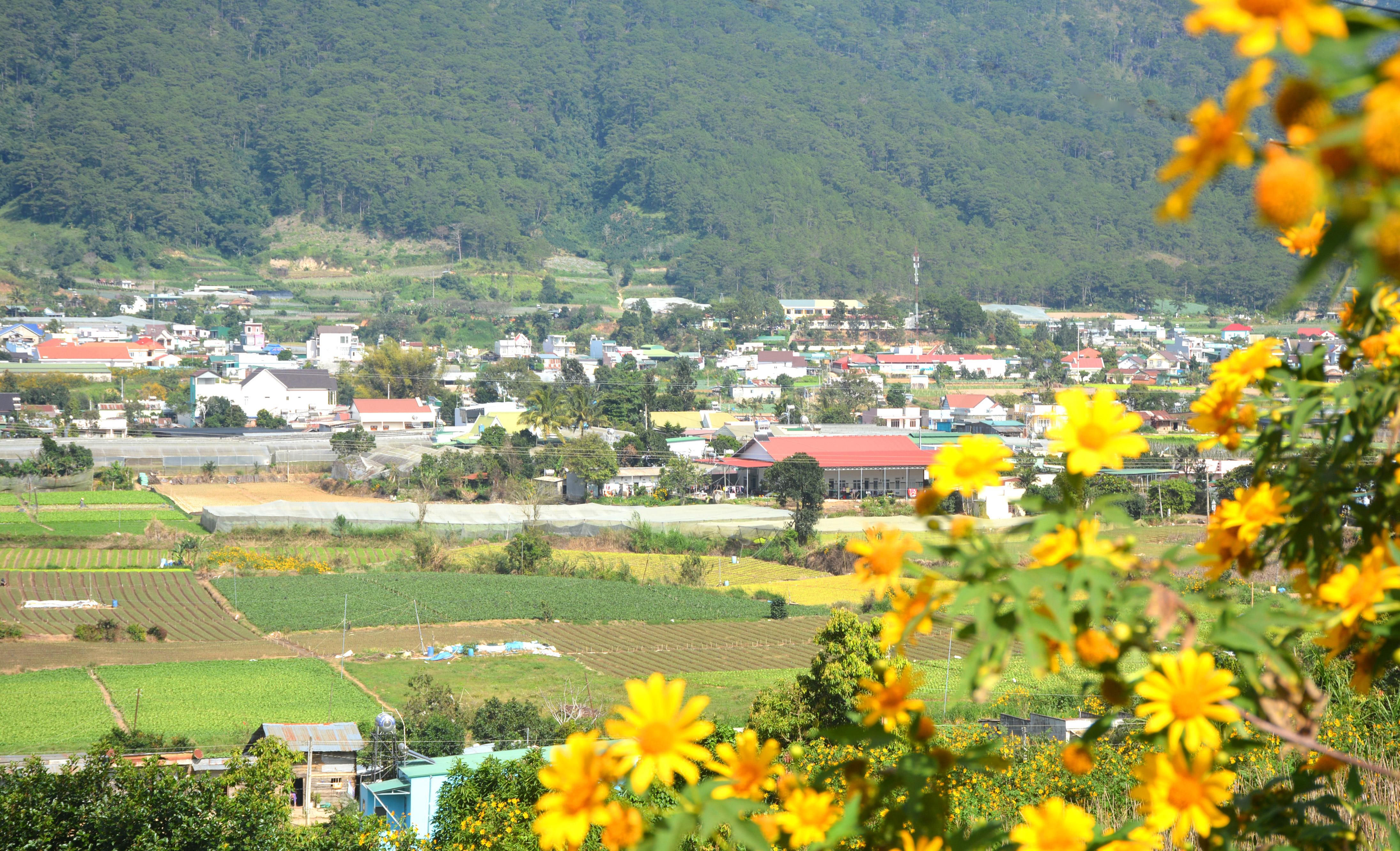 Du xuân qua miền Chu Ru