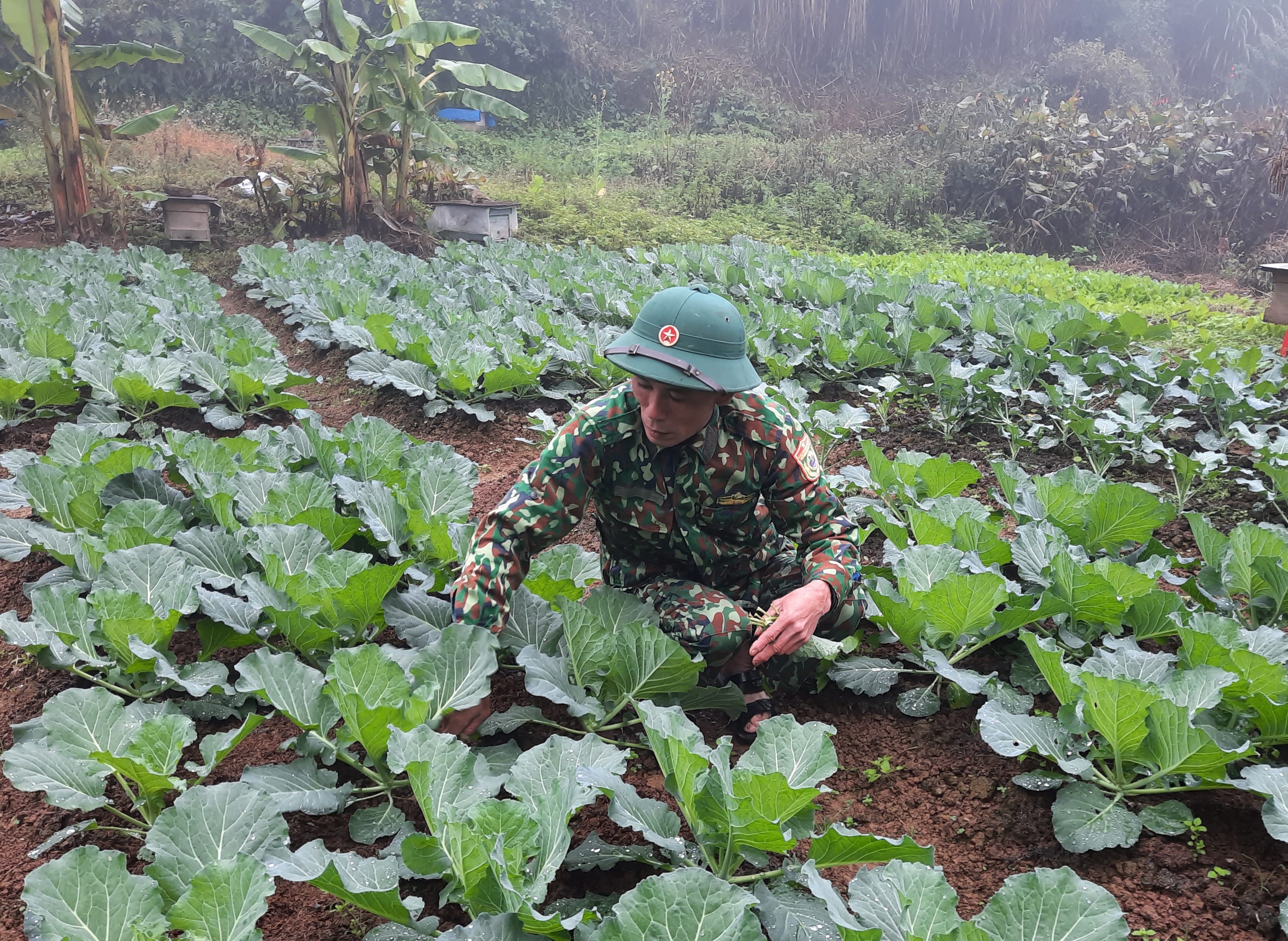 Chuyện nuôi trồng trên lưng núi