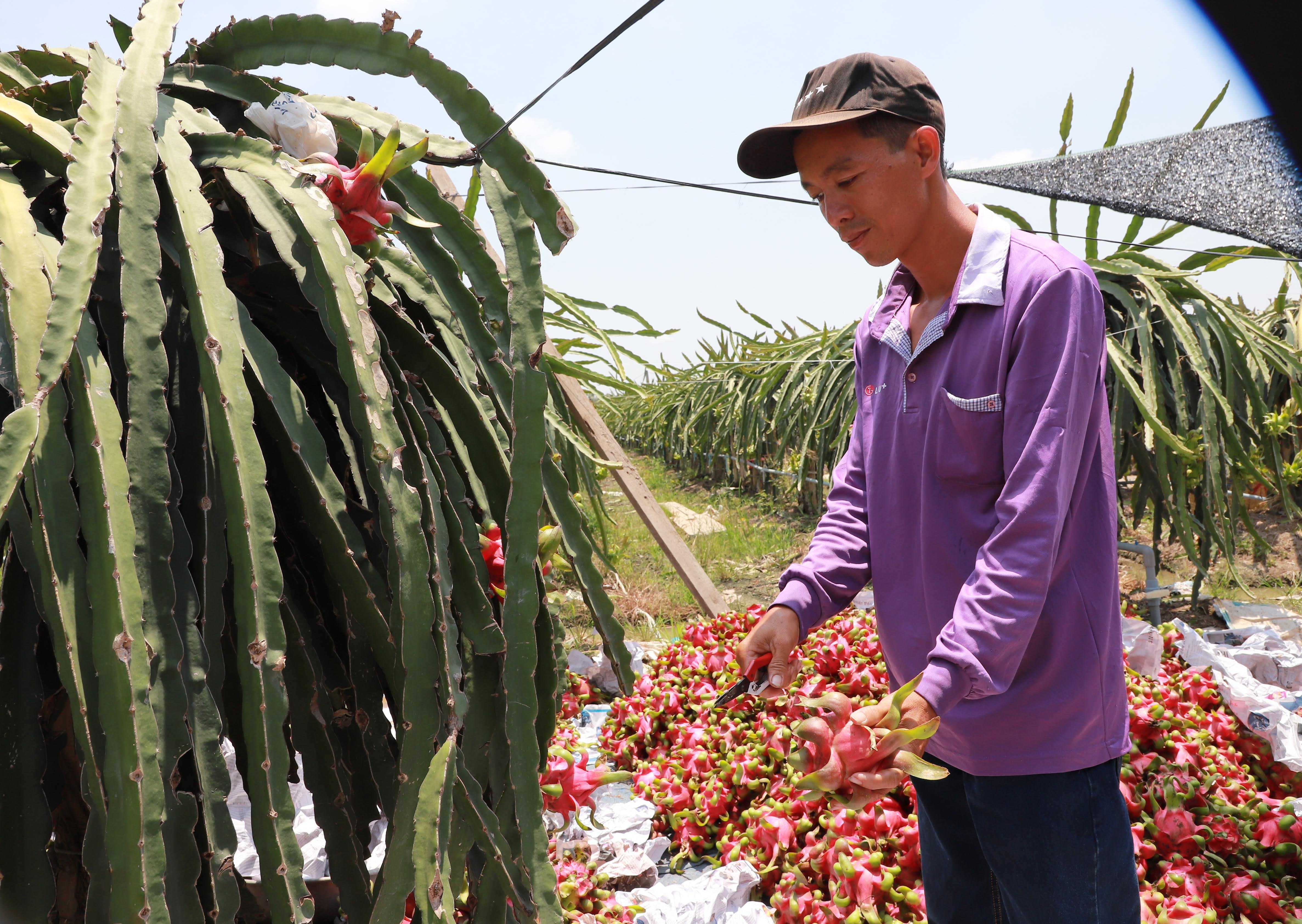 Thương hiệu Việt và khát vọng vươn xa