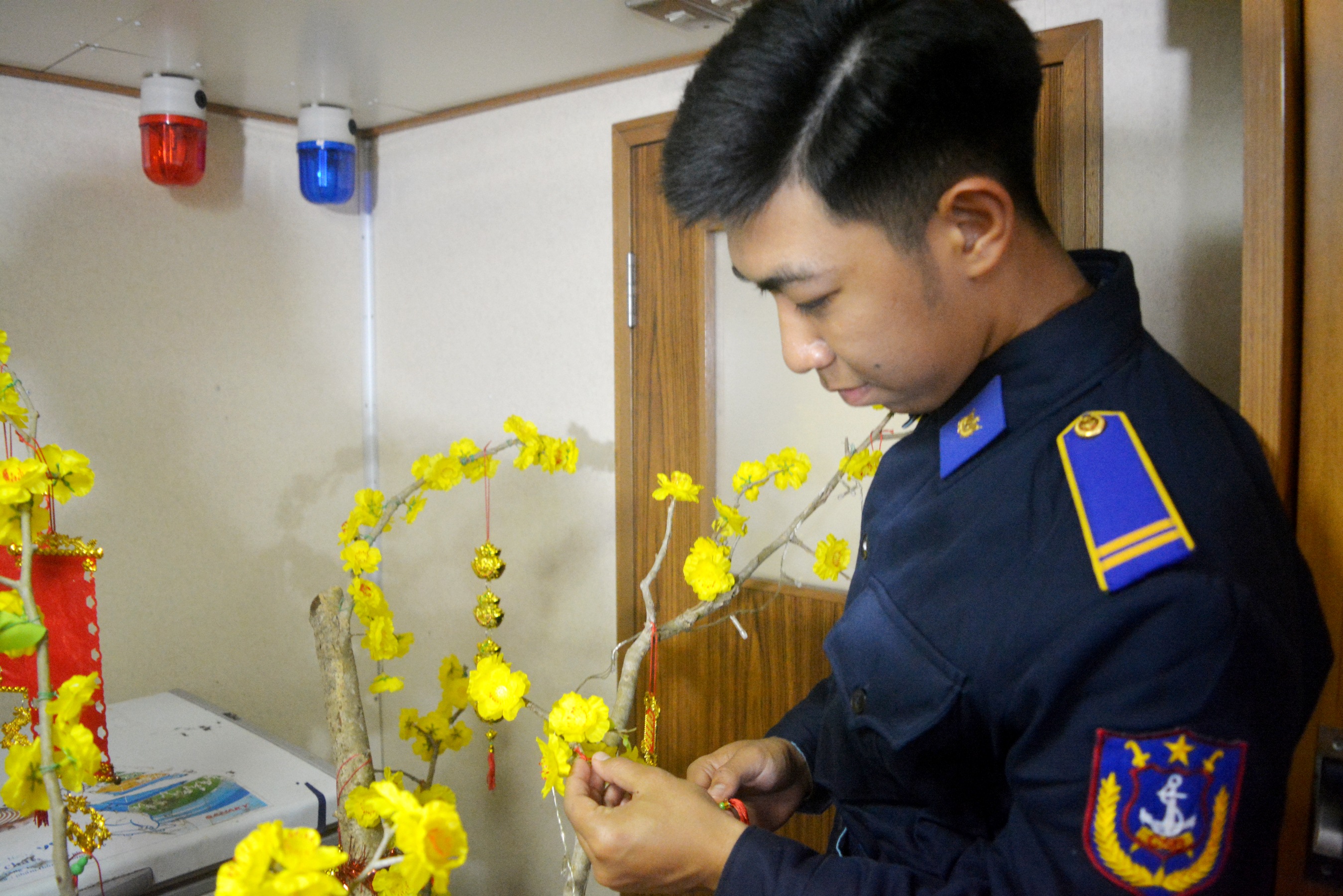 Trang trí cây mai đón Tết.