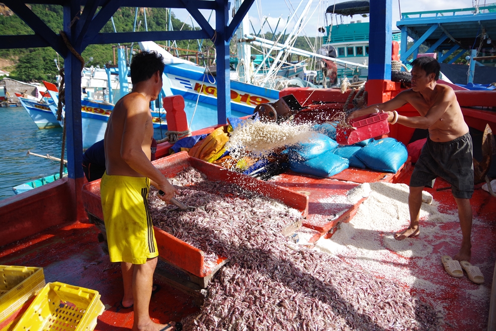 Cuộc sống người dân vẫn bình yên với nghề đánh bắt, nuôi trồng hải sản.