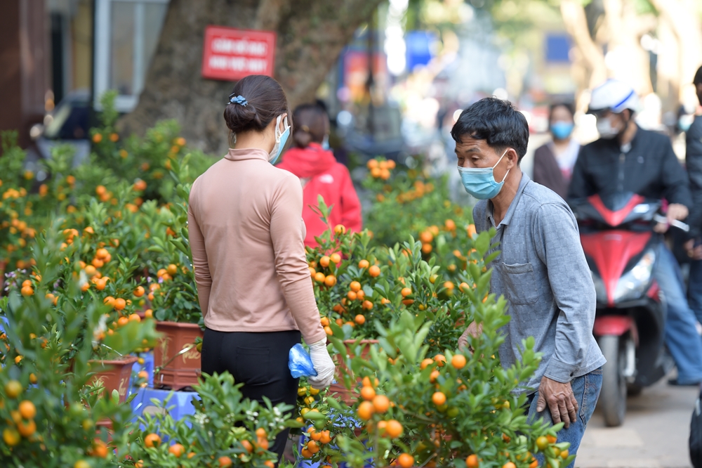 Dịch bệnh khiến nhu cầu mua sắm đào, quất giảm hơn so với những năm trước.