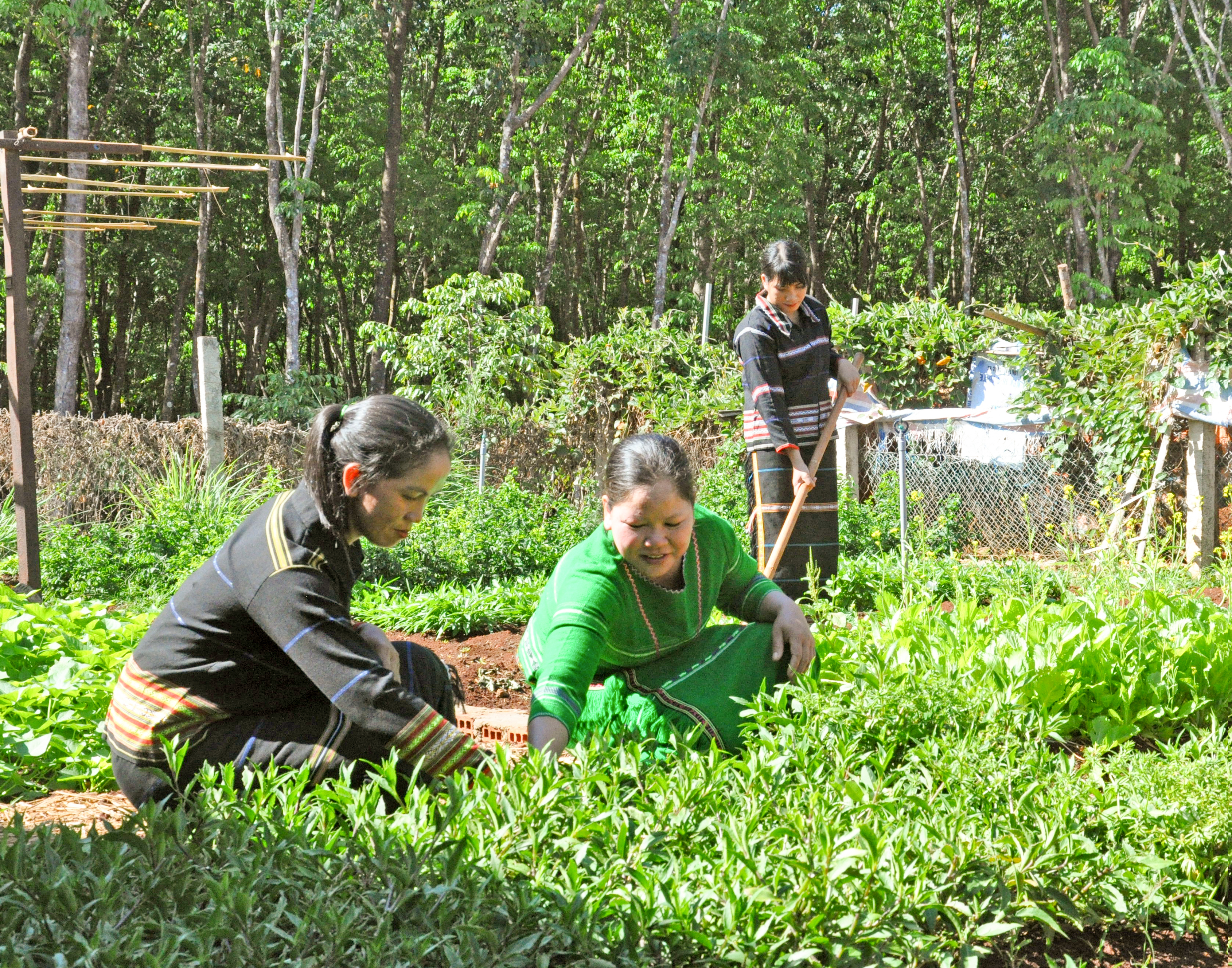 Động lực thoát nghèo