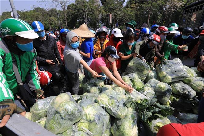 Chung tay giải cứu nông sản cho nông dân Hải Dương

