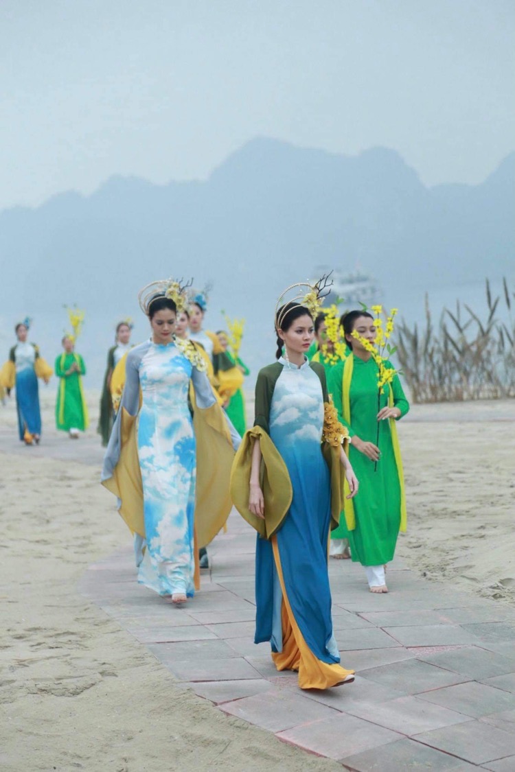 Tôn vinh vẻ đẹp mai vàng Yên Tử