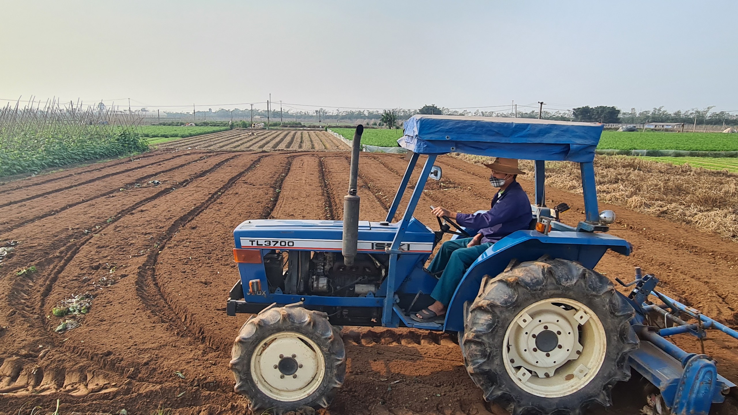 Nhân Huệ - nơi màu xanh hồi sinh từ lòng nhân ái
