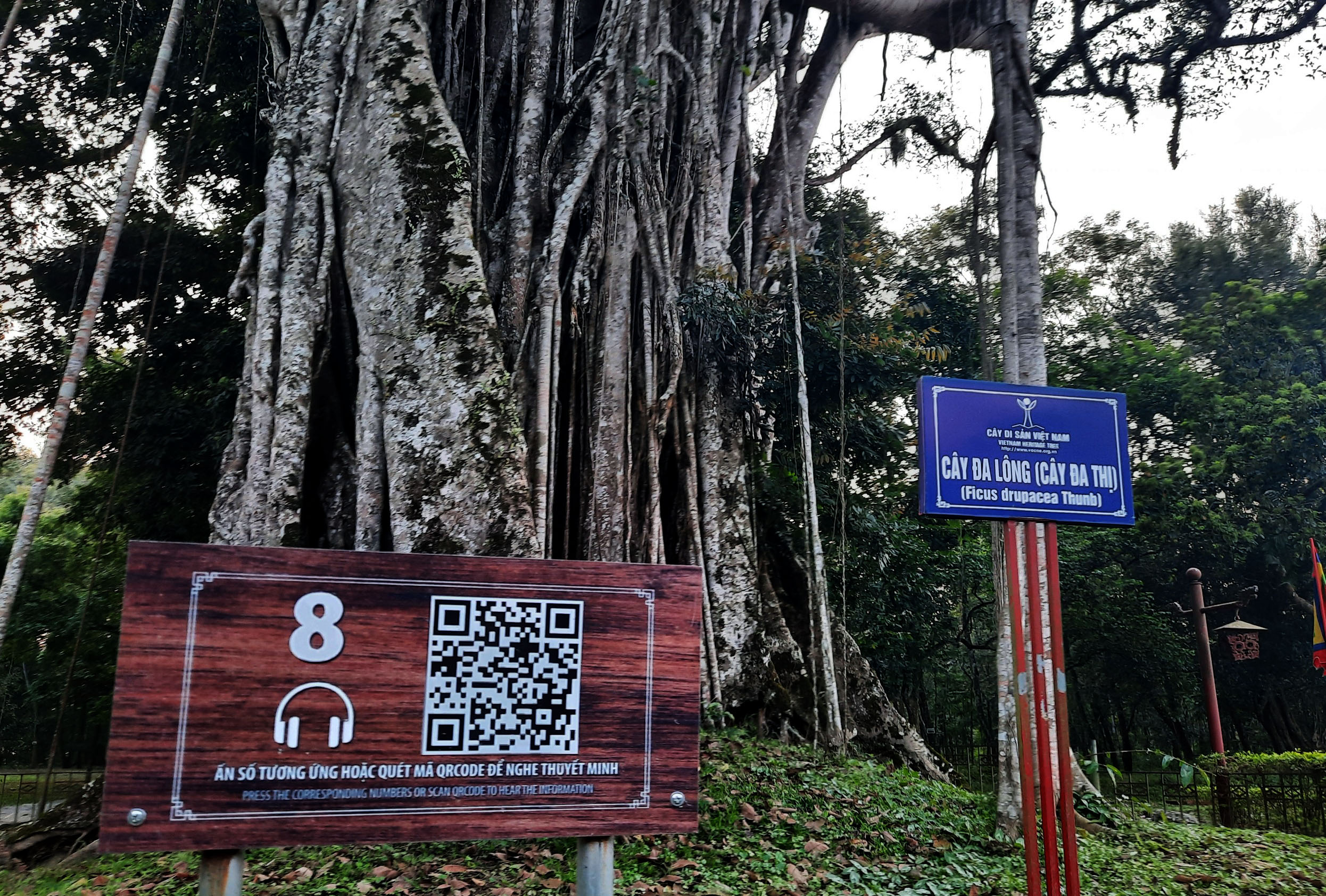 Hiện đại mà... bất tiện!