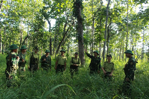 Chủ động phối hợp, quản lý, bảo vệ rừng 