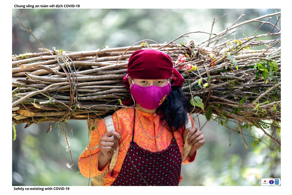 Củi là chất đốt không thể thiếu của người dân nơi đây.