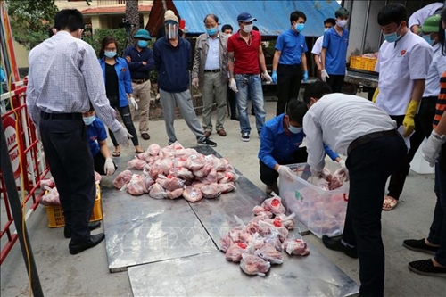 Gần 1,5 tấn thịt lợn cấp phát tới từng hộ dân thôn Lôi Động (Hải Phòng)