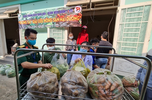 Tuổi trẻ Bệnh viện Quân y 175 hỗ trợ tiêu thụ 15 tấn nông sản tỉnh Hải Dương