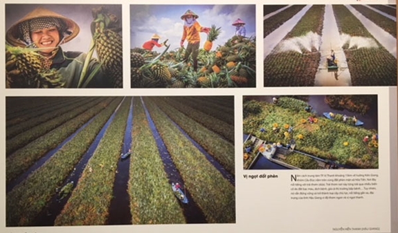 Tổ chức Festival Nhiếp ảnh trẻ năm 2021