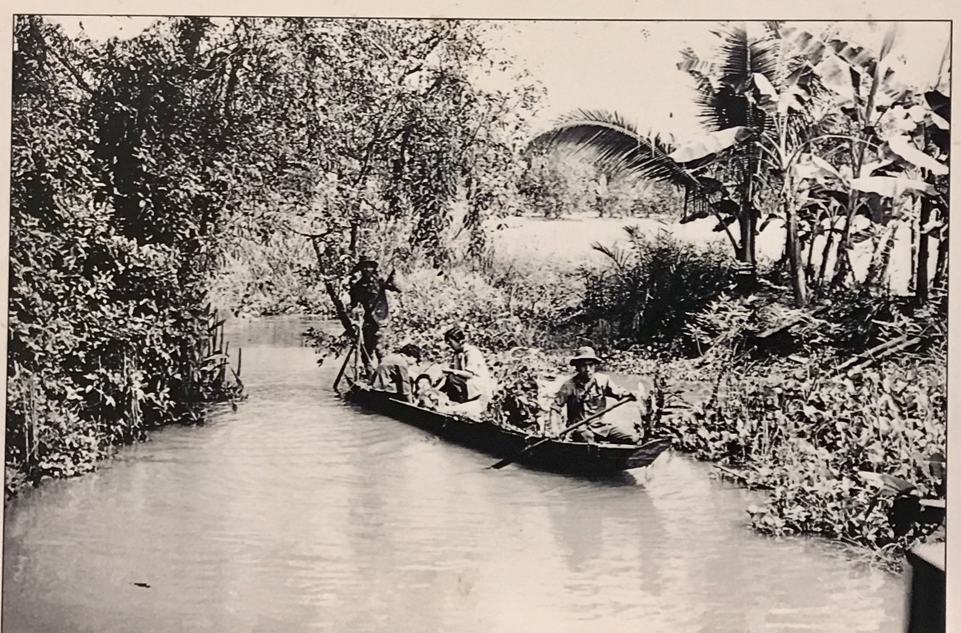 Truyền dịch bằng... nước dừa

