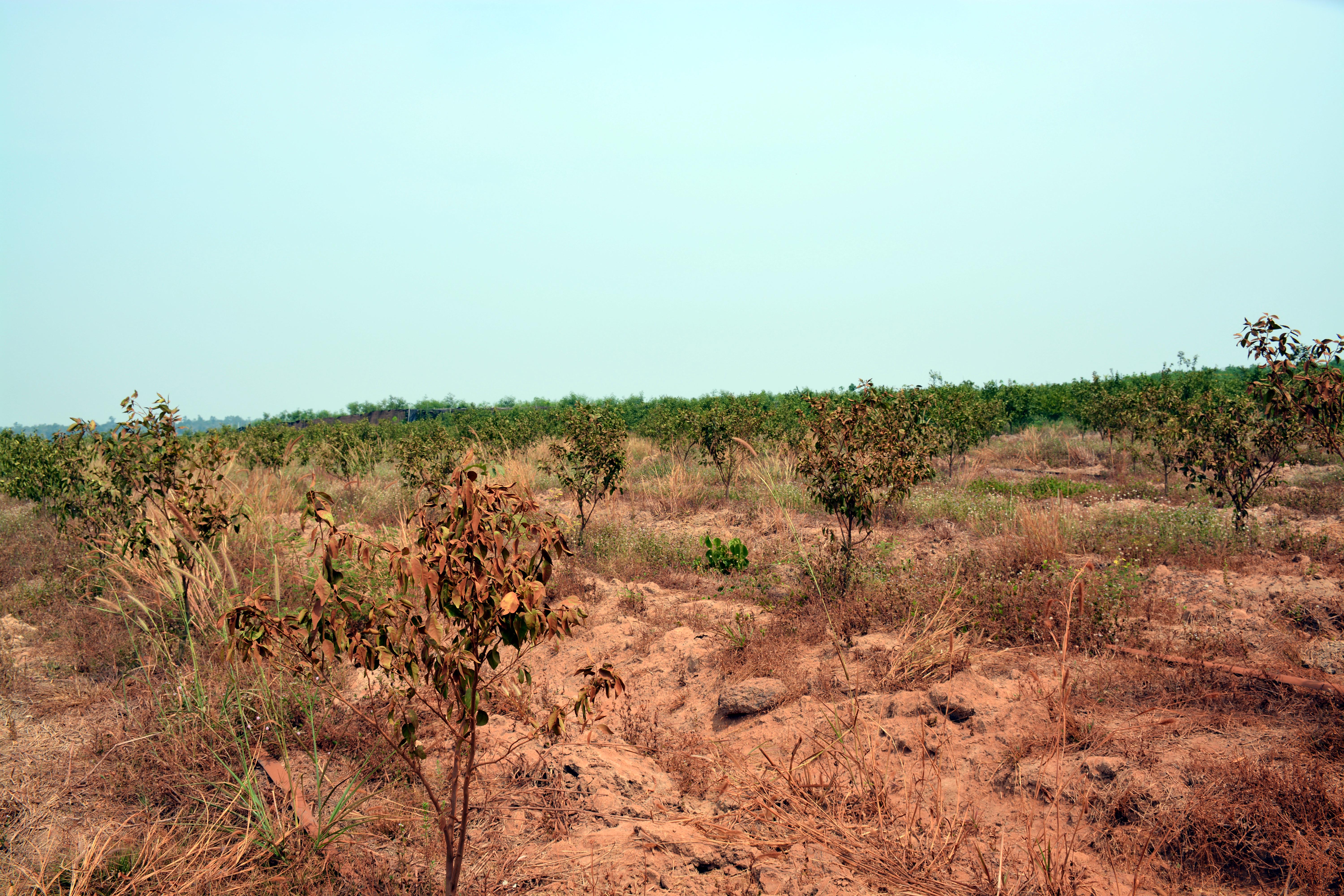 Bài 2: Những thách thức về an ninh nguồn nước ở Việt Nam