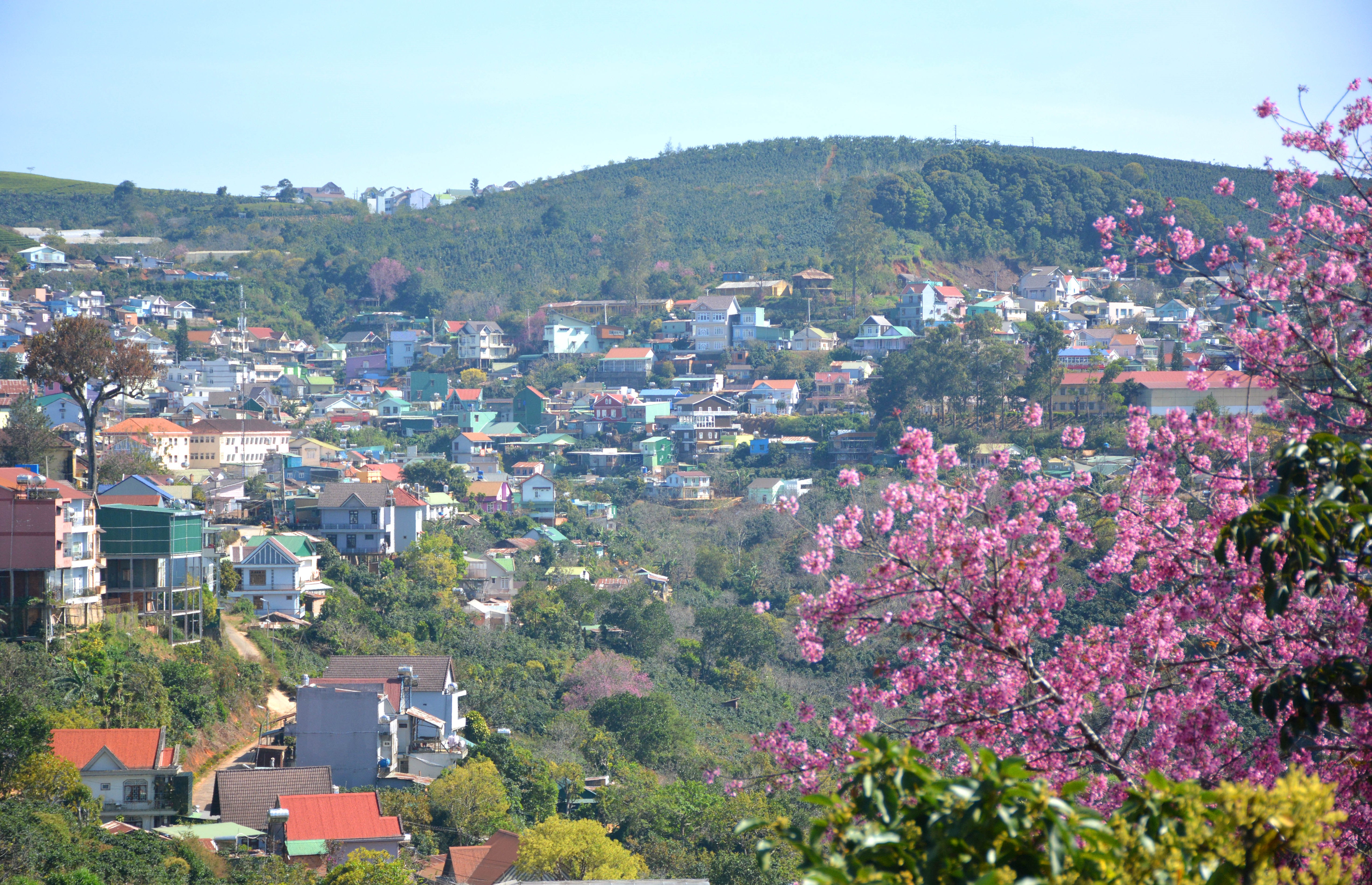 Đồng lòng, sáng tạo xây dựng xã nông thôn mới nâng cao 