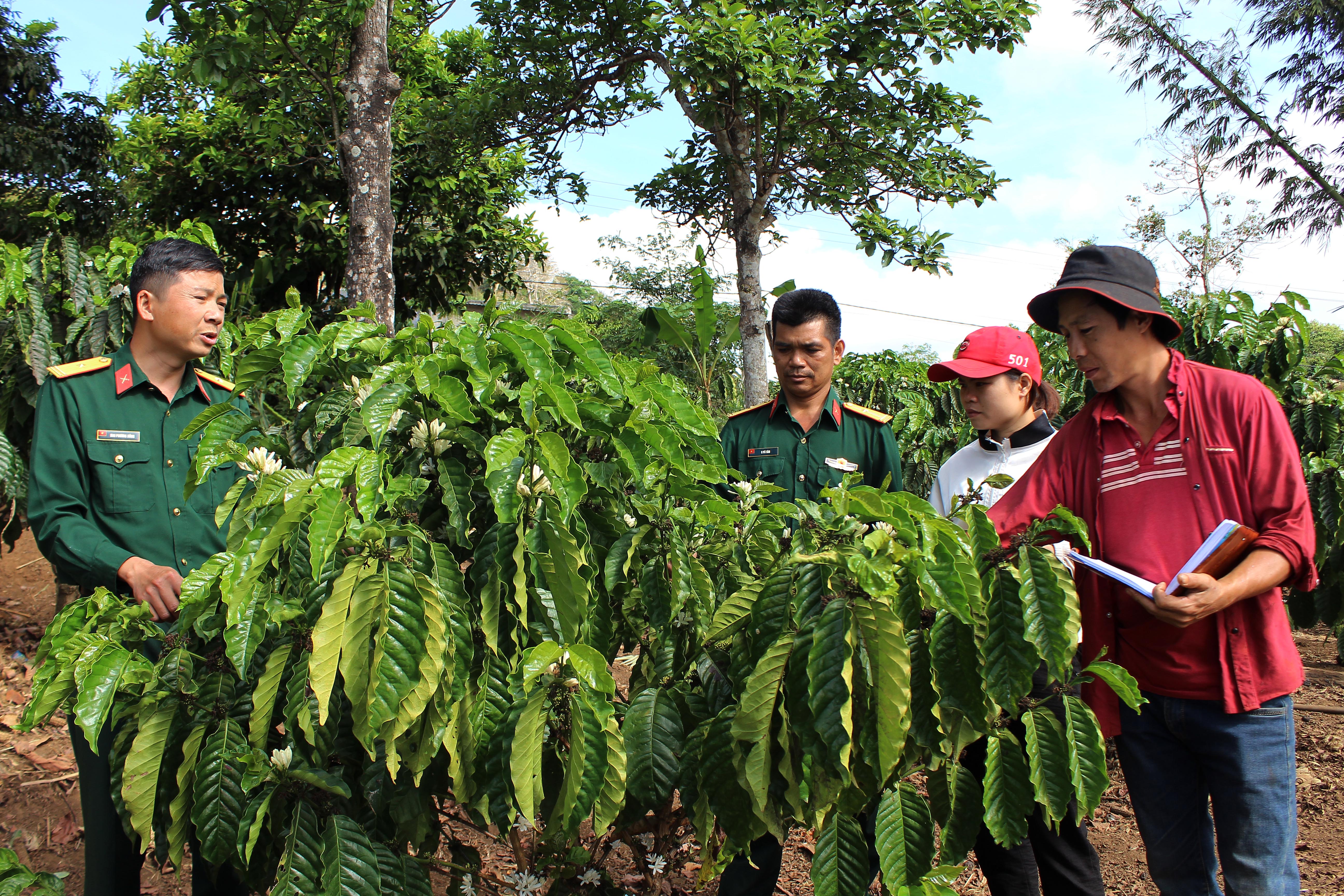 No ấm trên vùng đất Quảng Sơn