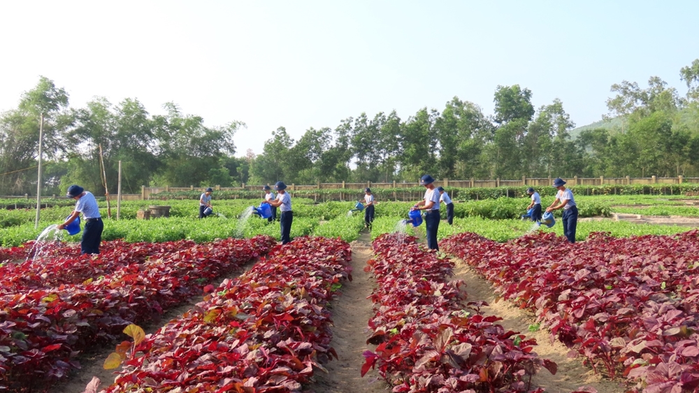 Tích cực tăng gia sản xuất cải thiện đời sống.