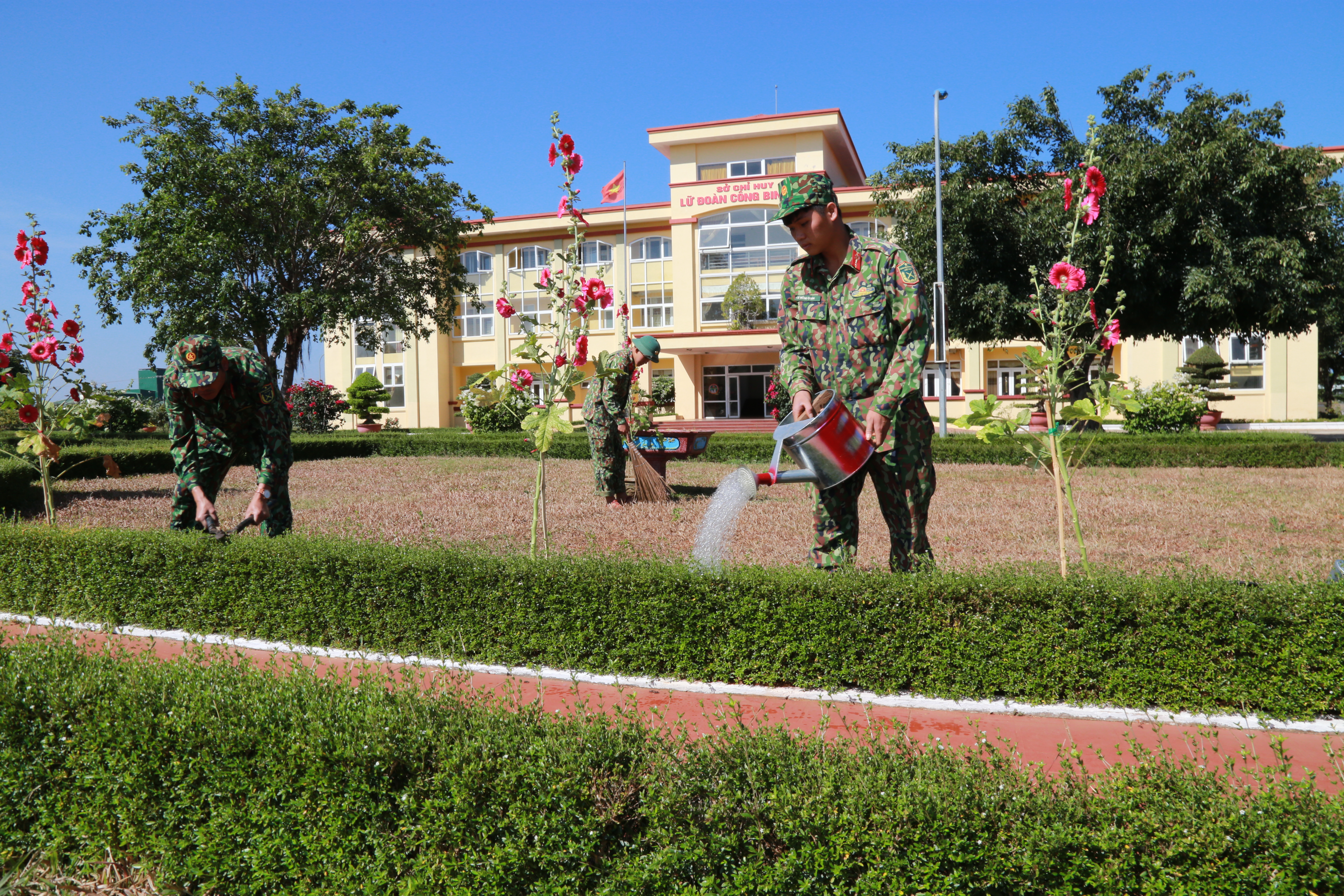 Không gian xanh của bộ đội công binh       