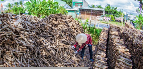 Đẩy mạnh sản xuất xanh và tăng trưởng xanh