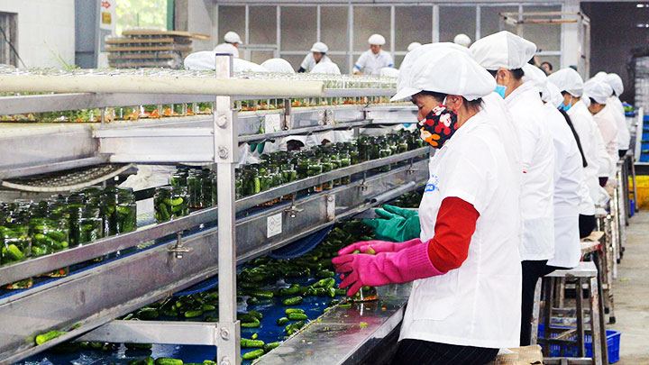 AN SINH CHO NGƯỜI LAO ĐỘNG