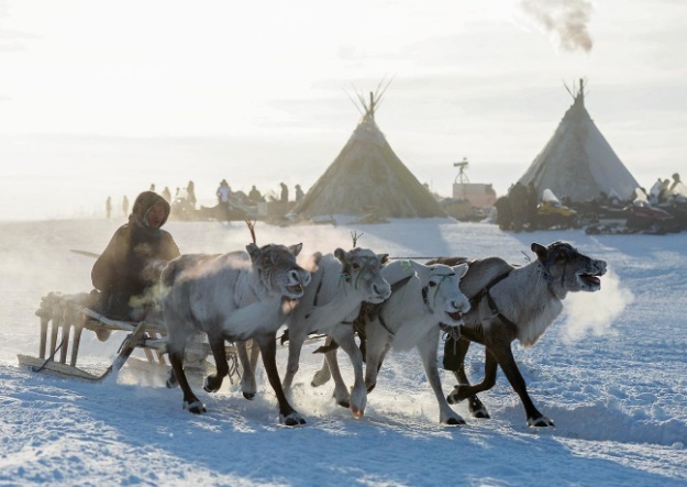 7 sự thật thú vị và ngạc nhiên về vùng Cực Bắc của Nga