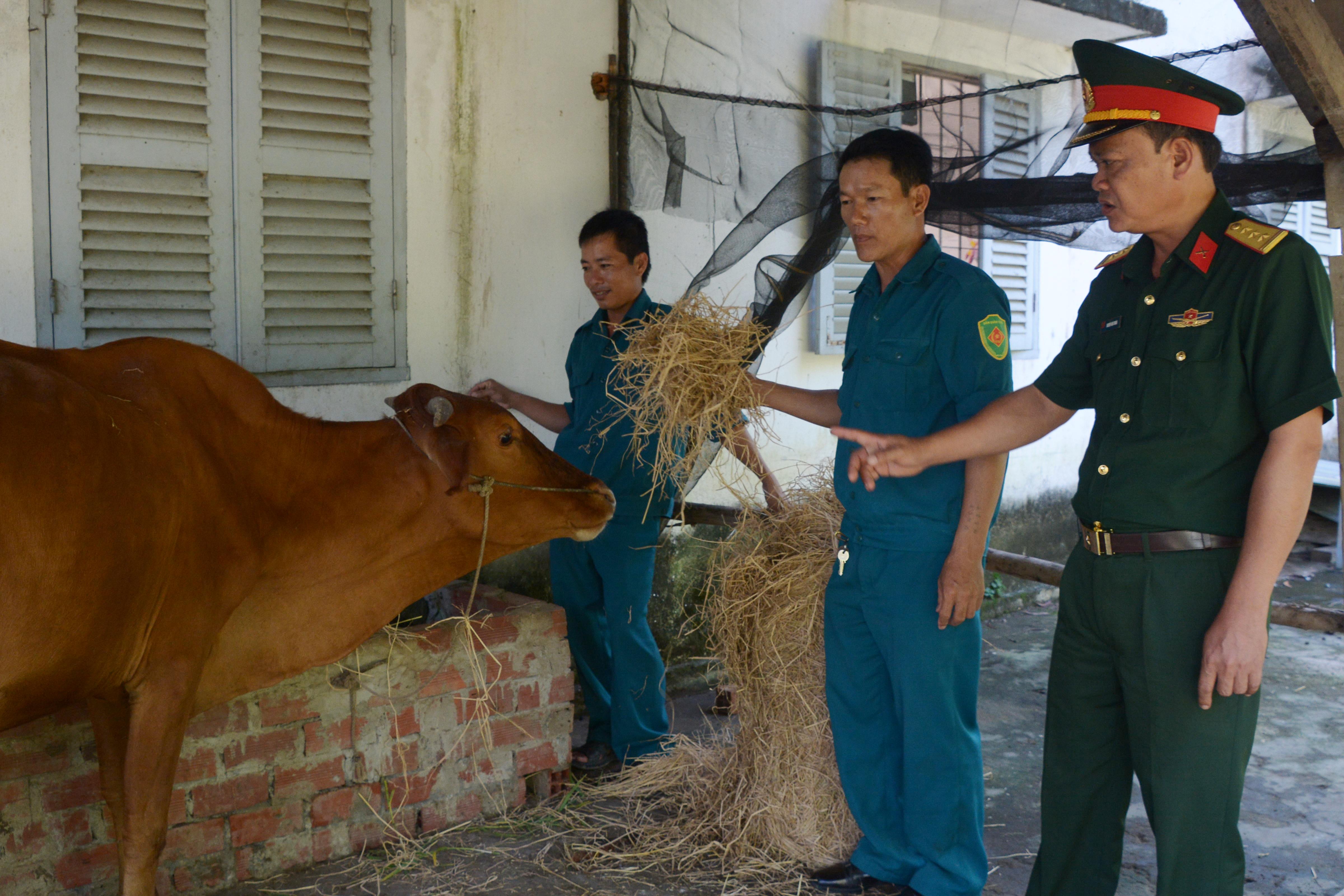 Nhiều cách làm hiệu quả, giúp ổn định đời sống dân quân