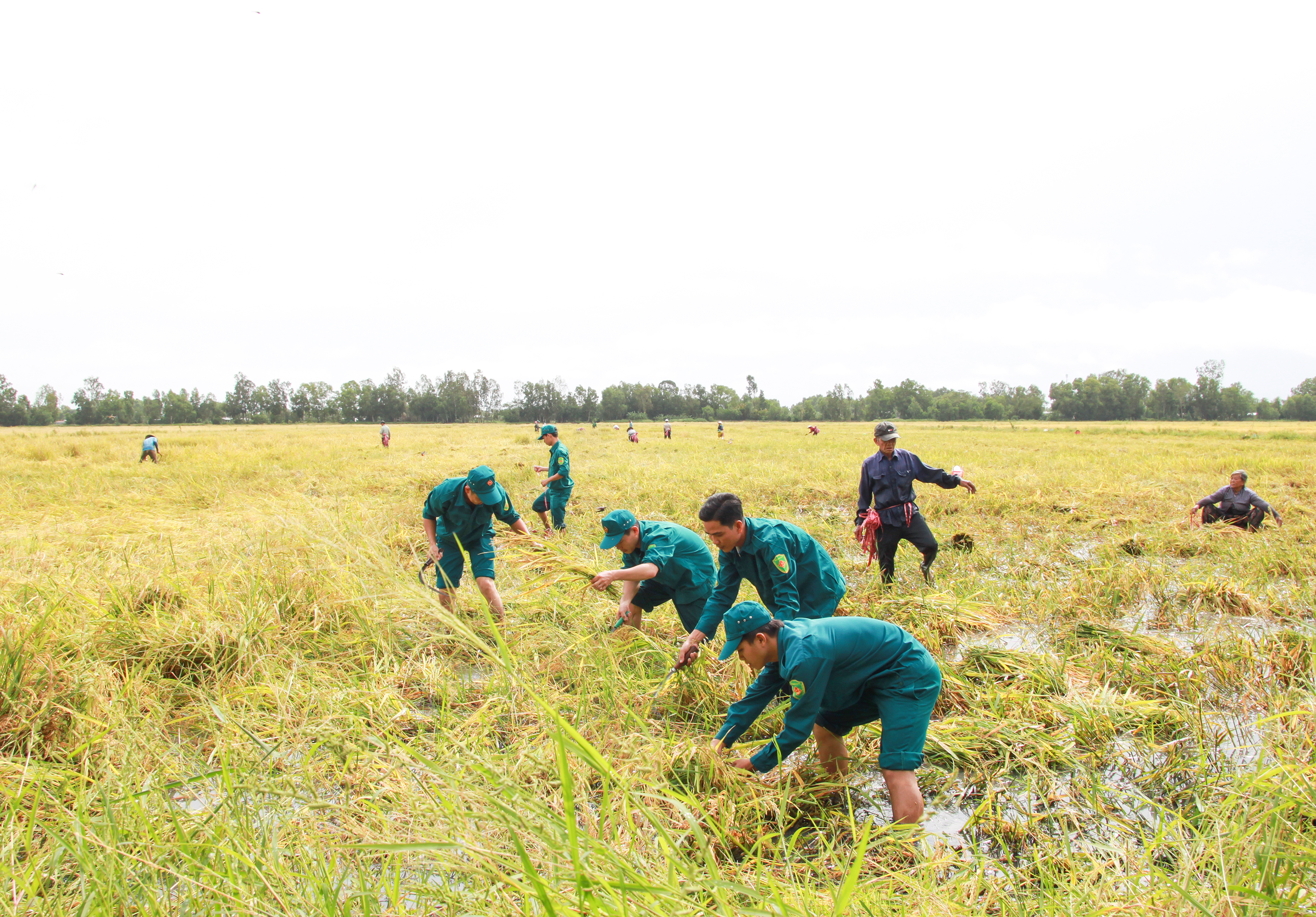 Hiệu quả từ đề án xây dựng lực lượng dân quân tự vệ ở Hậu Giang 

