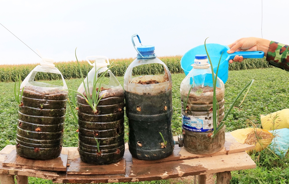 Một cách “tăng gia” rất độc đáo của chốt phòng, chống dịch số 6 (Đồn Biên phòng Nhơn Hội). Tận dụng bình nước đã qua sử dụng, cùng ý tưởng thân thiện môi trường, cán bộ chiến sĩ vừa có hành để ăn, vừa tạo điểm nhấn vui mắt xung quanh chốt.