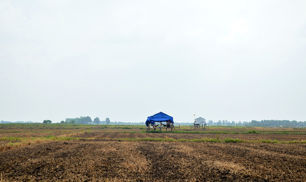 Giữa cánh đồng mênh mông mùa nắng cháy, lực lượng biên phòng, quân sự, công an đã dựng lên một “vành đai” để bảo vệ an toàn cho cộng đồng trước sự đe dọa của dịch Covid-19.