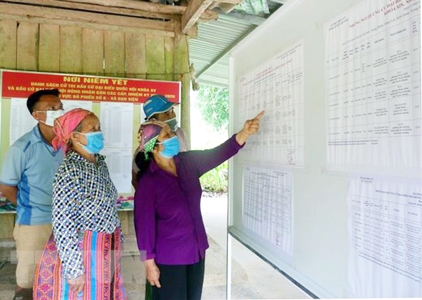 Cử tri là người di cư tự do, chưa đăng ký thường trú hoặc tạm trú tại địa phương thì có quyền tham gia bầu cử đại biểu ở cấp nào?