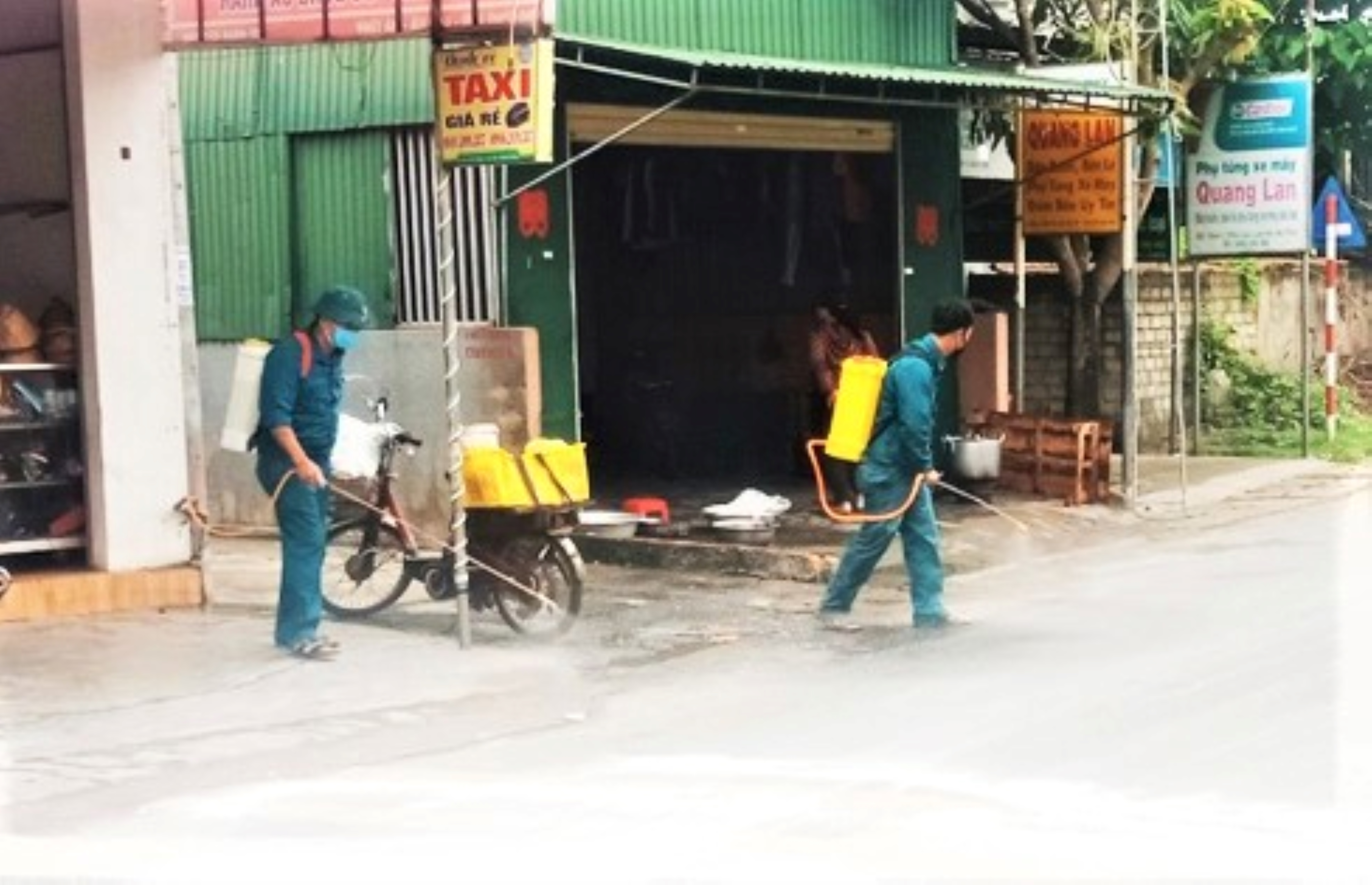 Từng bước khống chế được dịch bệnh trên trâu, bò