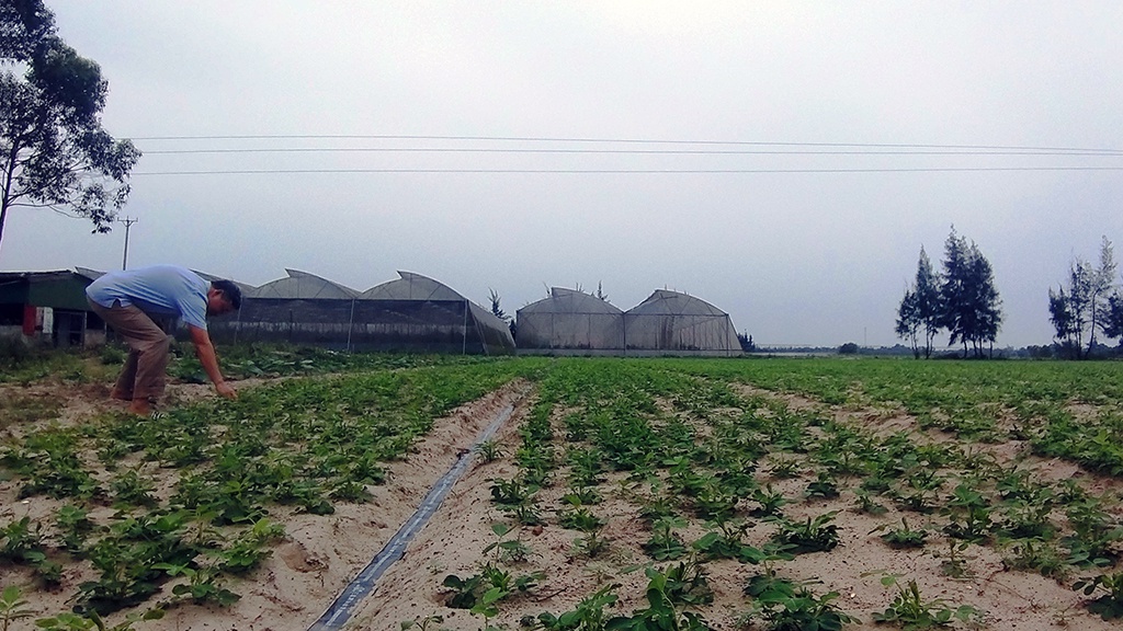 THÀNH CÔNG TRONG THẤT BẠI