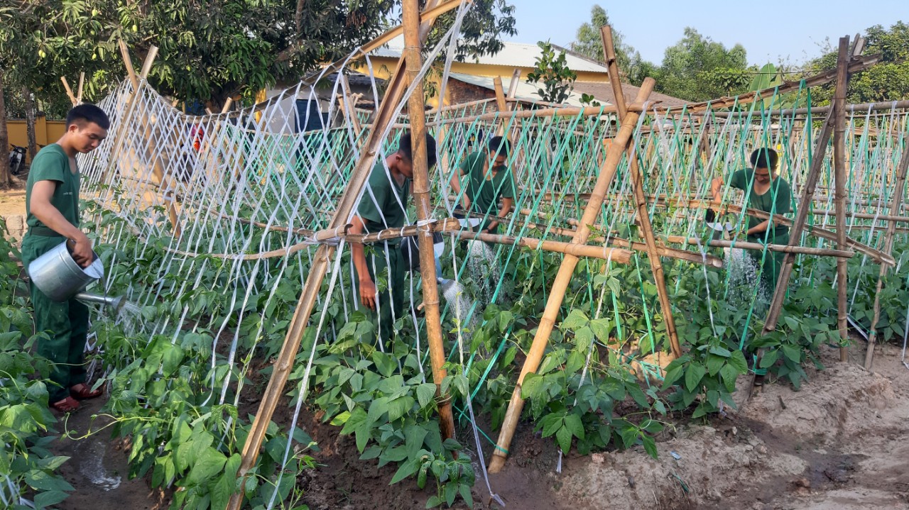 Chủ động tăng gia sản xuất, nâng cao đời sống bộ đội