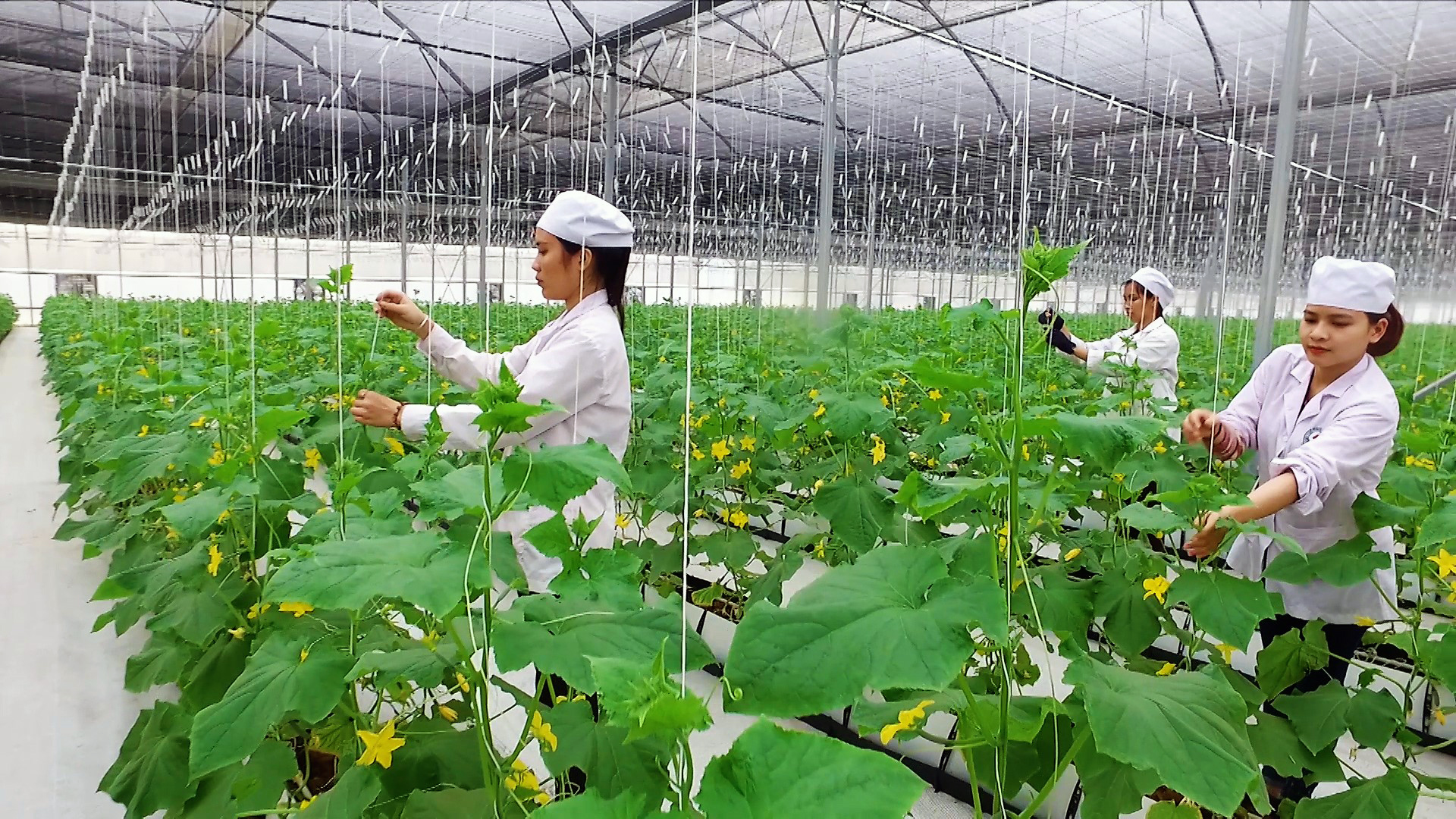 Phát huy hiệu quả trong thực tế