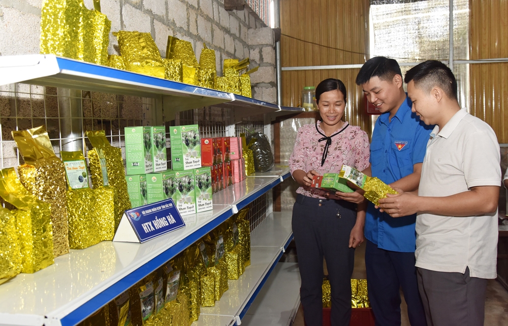 Đảng viên Hoàng Văn Thiều, ở thôn Nà Hồng, xã Bằng Phúc, từng tốt nghiệp Đại học Nông-Lâm, có nhiều cơ hội việc làm tại các nhà máy, xí nghiệp, khu chế xuất... nhưng anh lại chọn con đường làm giàu trên chính quê hương mình. Thiều đã vận động thanh niên trong thôn, thành lập hợp tác xã trồng, chế biến chè Shan tuyết, vừa bảo đảm phát triển kinh tế bền vững, phát huy thế mạnh địa phương, vừa góp phần đưa thôn Nà Hồng trở thành vùng chuyên canh chè nổi tiếng của huyện Chợ Đồn. Hiện đảng viên Hoàng Văn Thiều là Bí thư Chi đoàn thôn Nà Hồng, Chủ nhiệm Hợp tác xã (HTX) chè Hồng Hà. Ảnh: Hoàng Văn Thiều (đứng giữa) đang kiểm tra chất lượng sản phẩm chè Shan tuyết do HTX chè Hồng Hà sản xuất trước khi đưa ra thị trường.