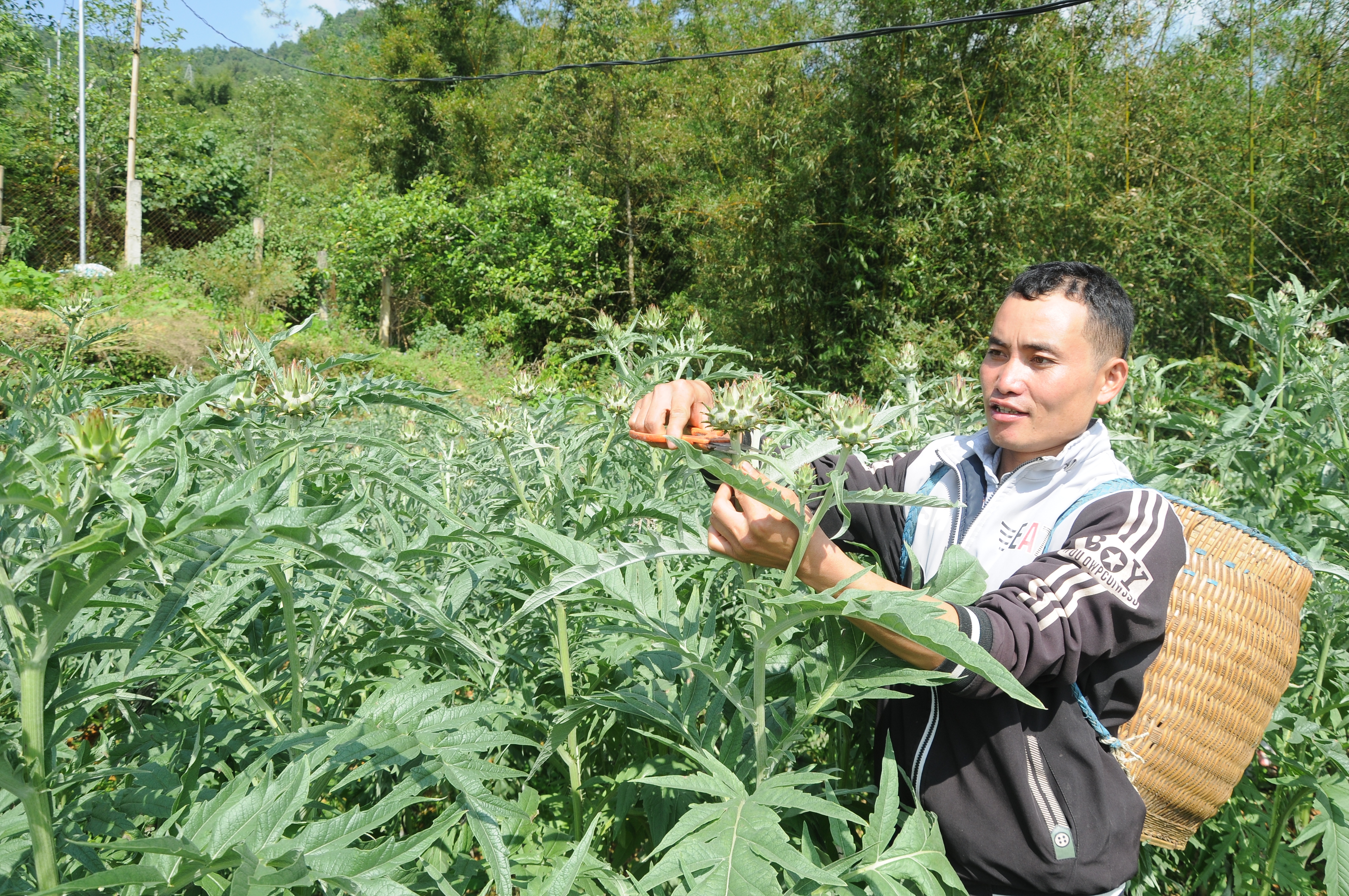 Học Bác, đơn giản là phải thoát nghèo