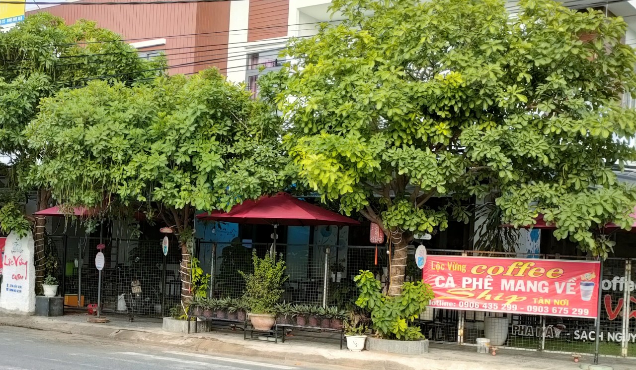 Đà Nẵng 19 ngày không có ca mắc Covid-19 mới trong cộng đồng