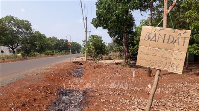 ĐẰNG SAU NHỮNG LÔ ĐẤT 